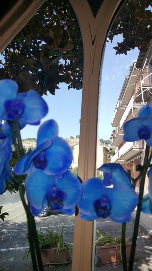 Hotel Ristorante Umbria Orvieto Ngoại thất bức ảnh